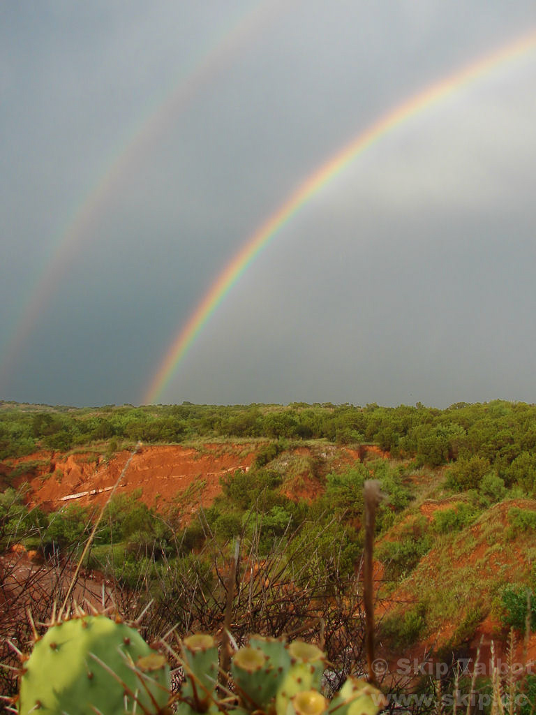 A double rainbow over a red clay canyon with prickly pear cactus