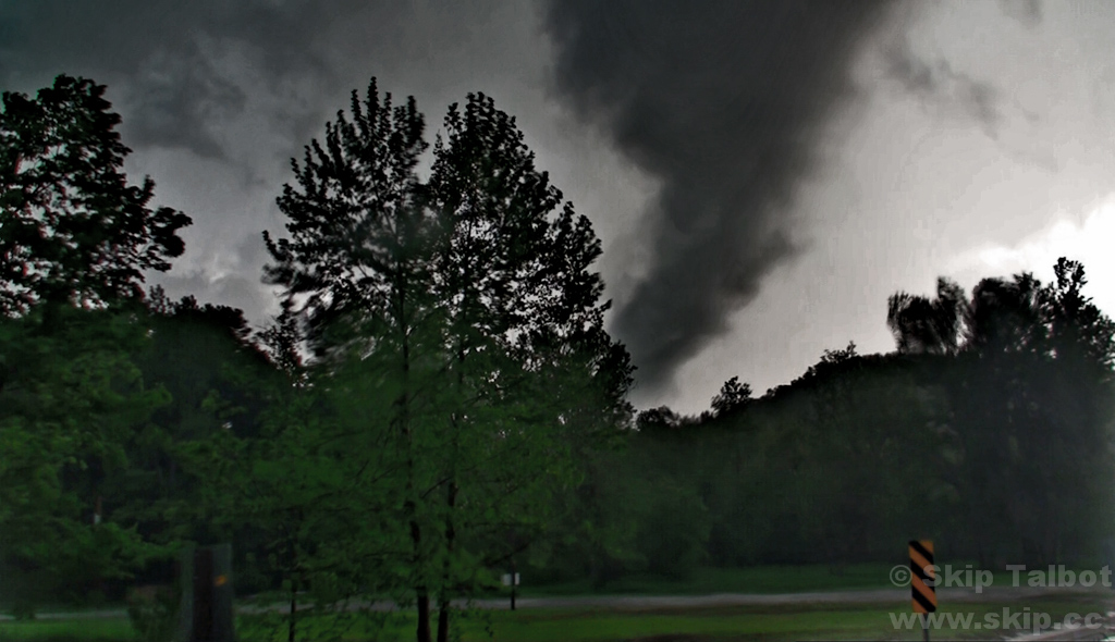 A surprise tornado appears through a gap in the treeline